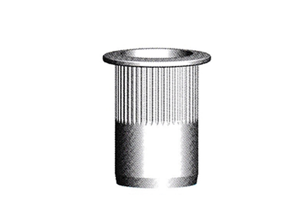 TL series metric standard rivet nut(Big turtle back)